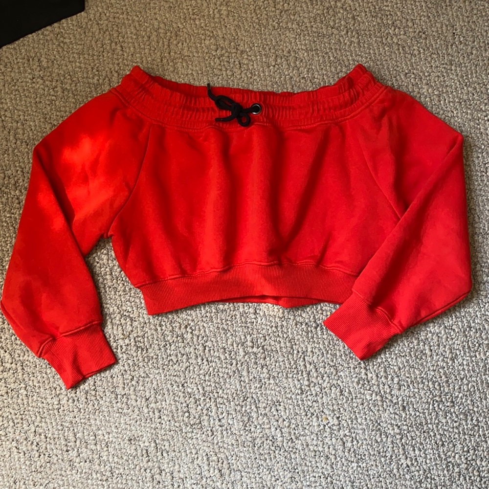 Red Ivy Park Crop top